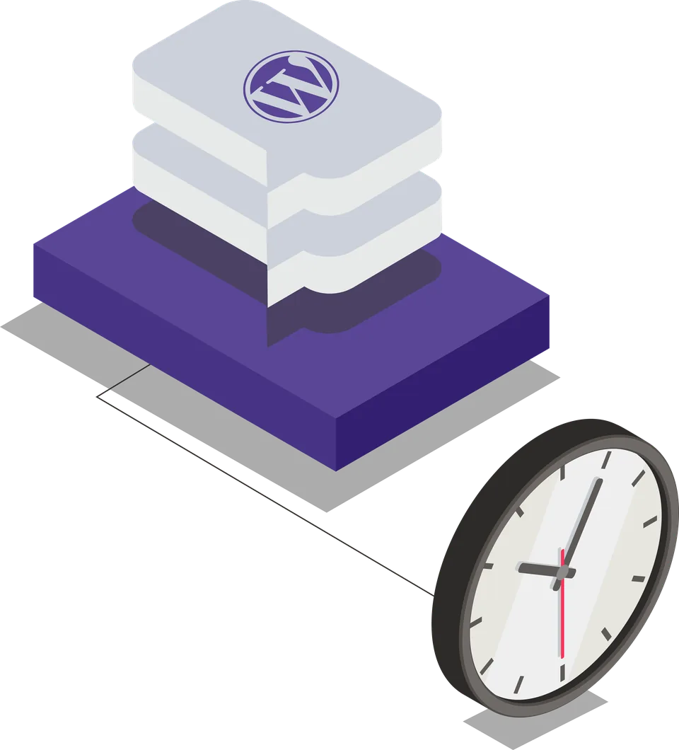 24x7 WordPress support